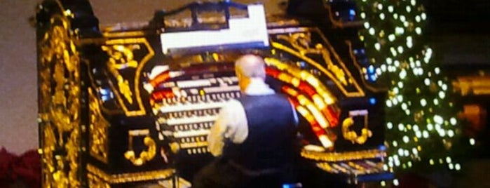 Organ Stop Pizza is one of Winter 2022 To Do.