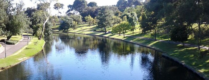 River Torrens is one of Emilio Alvarez’s Liked Places.