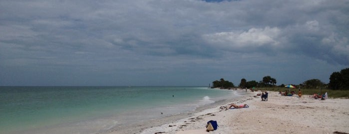 Honeymoon Island State Park is one of Tampa / St. Pete / Tarpon Springs.