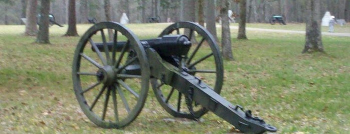 Chickamauga and Chattanooga National Military Park is one of Civil War Museums in Georgia.