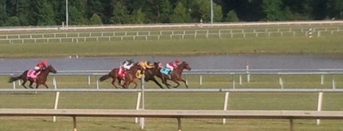 Colonial Downs is one of Horse Racing Coast to Coast.