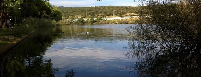 El Lago De Parquelagos is one of Sierra Noroeste Madrid.