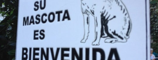 Buenos Aires Pet Friendly