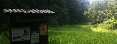 テラスとどろ木 is one of 神奈川散歩.