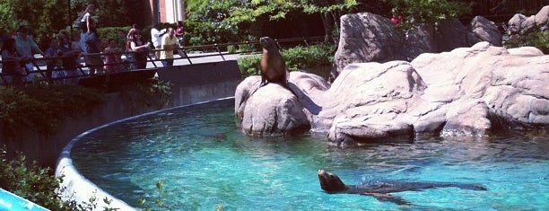 Sea Lion Pool is one of Tempat yang Disukai Debra.