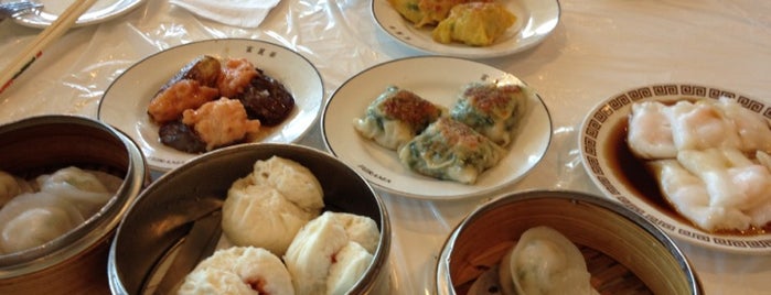 Want Some Dim Sum - 1