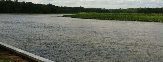 Phillip's Landing is one of Swimming Spots.