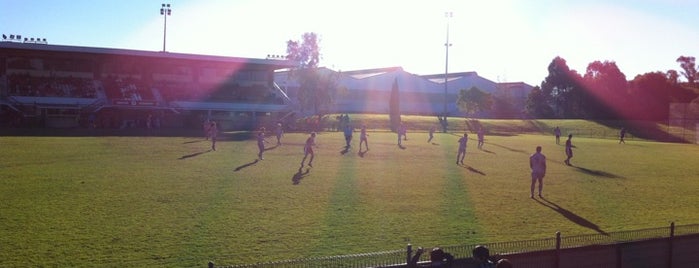 Melita Stadium is one of Soccer.