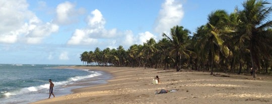 Praia do Gunga is one of Meus Lugares Preferidos..
