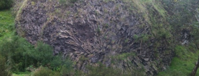 Organ Pipes National Park is one of Locais curtidos por T..