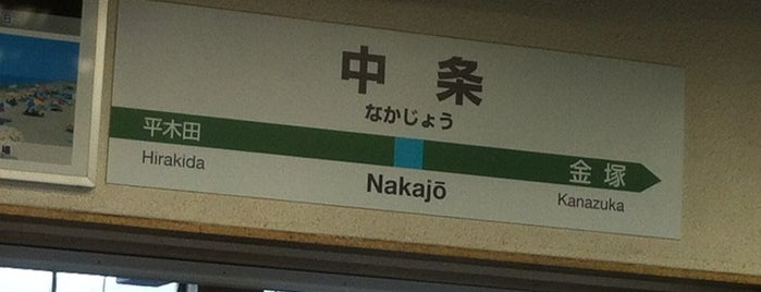 中条駅 is one of 特急いなほ停車駅(The Limited Exp. Inaho’s Stops).