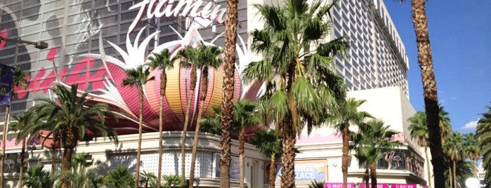 Flamingo Las Vegas Hotel & Casino is one of Viva Las Vegas.