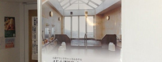 Komoro Grand Castle Hotel is one of สถานที่ที่ Tsuneaki ถูกใจ.