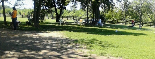 Wellington Dog Park is one of Lexington Dog Parks.