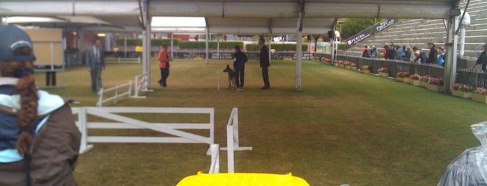Purina Dog Show is one of Sydney Royal Easter Show.