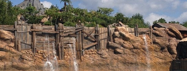 Disney's Typhoon Lagoon is one of Tania : понравившиеся места.