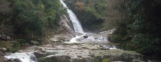 Kannon Falls is one of 日本の滝百選.