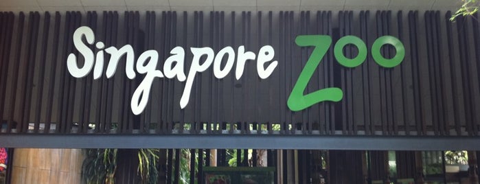 Singapore Zoo is one of Singapore fun spots.