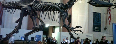 Museo Americano de Historia Natural is one of Manhattan+Museums.