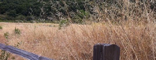 Garland Ranch Regional Park is one of Dog-Friendly Monterey Peninsula.