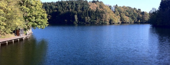 Lac de Robertville | Talsperre Robertville is one of Ostbelgien | Oost-België | Est de la Belgique.
