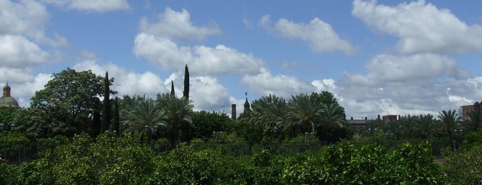 La Buhaira Gardens is one of Parques y jardines de Sevilla.