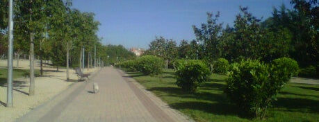 Parque Agustín Rodríguez Sahagún is one of Parques.