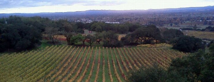 Paradise Ridge Winery - Santa Rosa Estate Tasting Room is one of Wow! What a view! Along Wine Road..