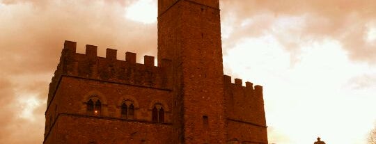 Castello di Poppi is one of VegMap.