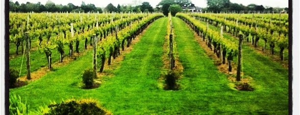 Wölffer Estate Vineyards is one of Adult Camp!.