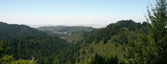 Purisima Creek Redwoods Open Space Preserve is one of Hikes.