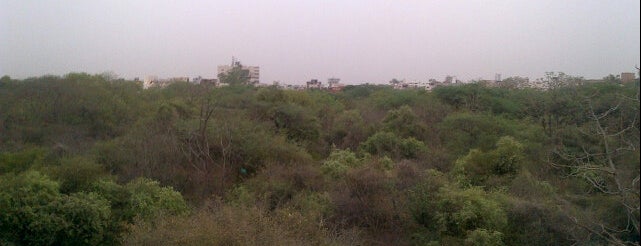 Jahanpanah City Forest is one of The 13 Best Places for Apartments in New Delhi.