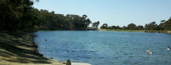 Chollas Lake Park is one of Locais salvos de Jessica.