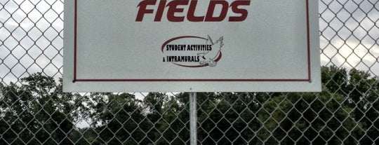 Intramural Fields is one of Raymond Campus.