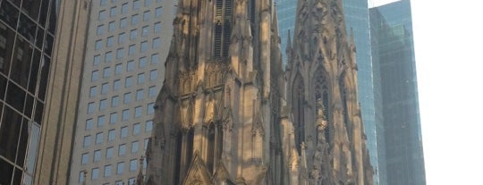 Catedral de San Patricio de Nueva York is one of New York City.