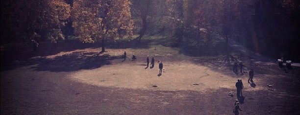 Trinity Bellwoods Dog Park - The Bowl is one of Toronto Off-Leash Dog Parks.