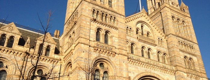 Natural History Museum is one of London Spots.