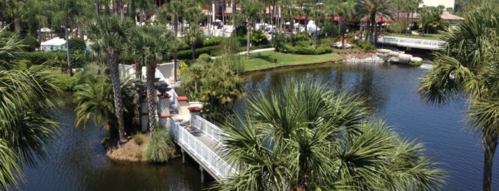 Sheraton Vistana Villages Resort Villas is one of Nice spots and things to do in Orlando, FL.