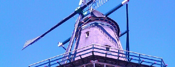 Amsterdam Mills
