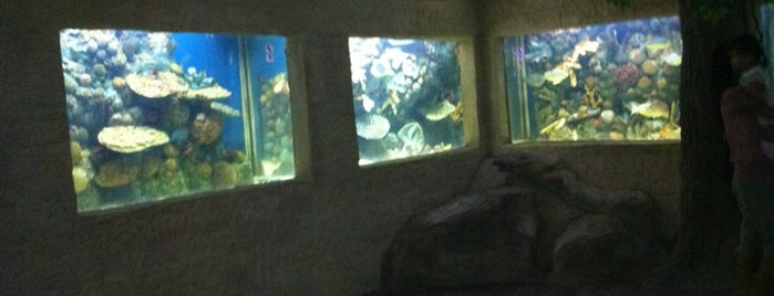 Sisaket Aquarium is one of Tempat yang Disukai Liftildapeak.