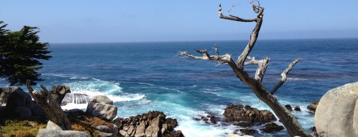 Pescadero Point is one of california.