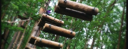The Adventure Park at Sandy Spring is one of Lugares favoritos de Tyler.