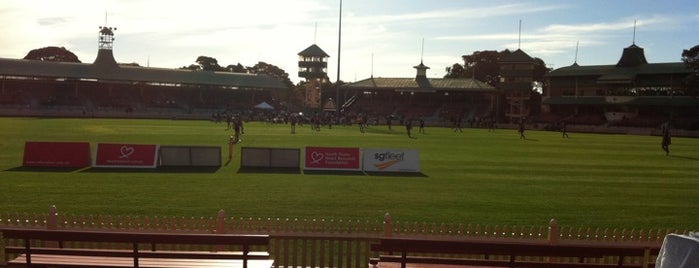 North Sydney Oval is one of Cricket.
