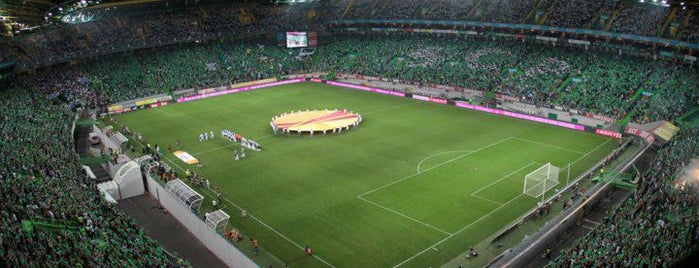 Estádio José Alvalade is one of The Great Football Pilgrimage.