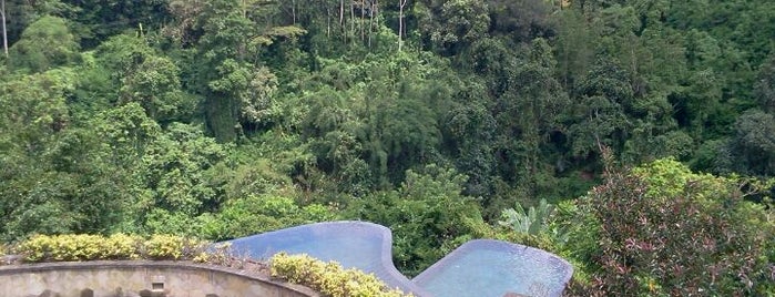 Ubud Hanging Garden is one of Pools.