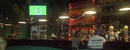 Wicklow Irish Pub is one of Lugares favoritos de los Topos.