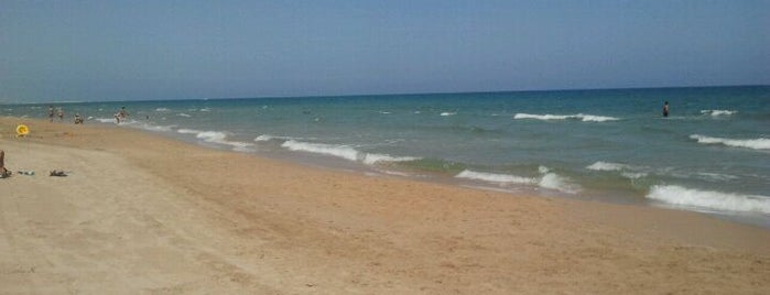 Playa de Terranova / Burguera is one of Playas de la Comunidad Valenciana.