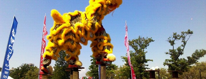 Dragon Boat Festival is one of Landmarks, Museums & Parks.