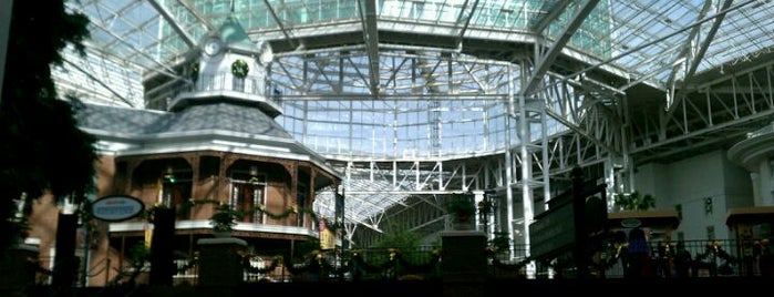 Gaylord Opryland Resort & Convention Center is one of Nashville, so much to do #visitUS.