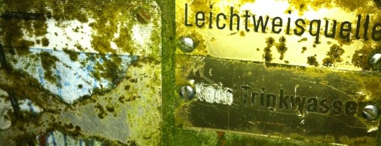 Leichtweißquelle is one of Waldlehrpfad?.